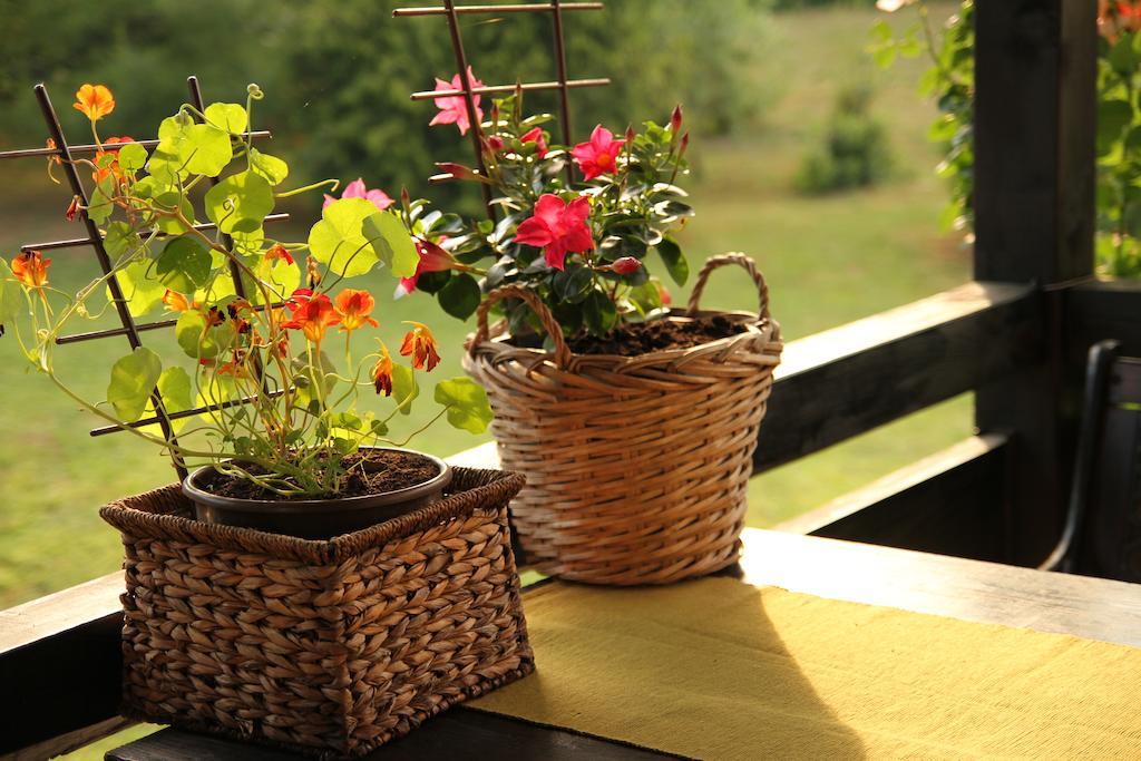 Apartment Eva Rakovica Luaran gambar