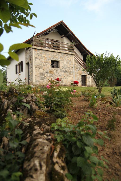 Apartment Eva Rakovica Luaran gambar